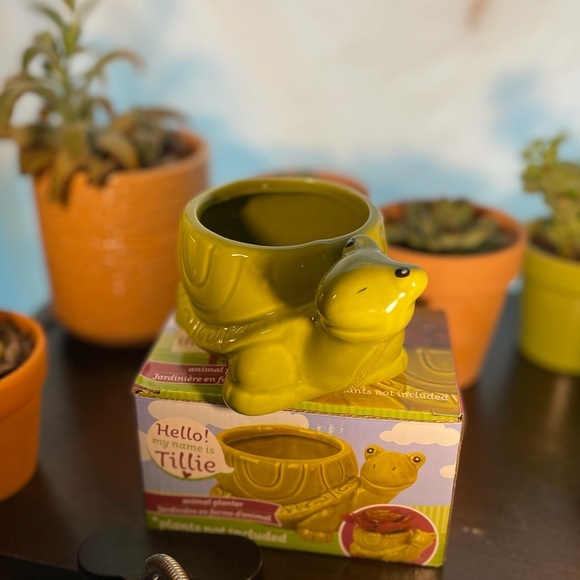 Tilly Turtle Ceramic Succulent Flower Planter - Picture 5 of 7